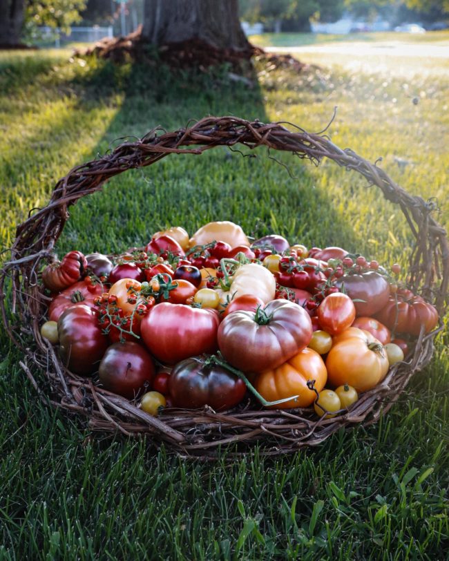 Northwoods folk home 8